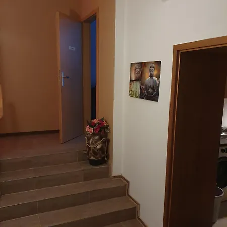 Halle, Top -Preise, 79 Qm Sd Fewo, Eg, Wahlweise Mit 1- 3 Dz, Tv Lounge, Kueche, Bad Wc Einfach Und Gut, Langzeitmieter Vb Preise Галль Экстерьер фото